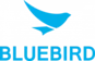 Bluebird